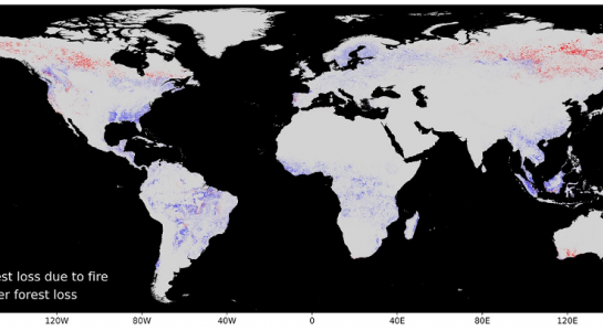 Global forest loss due to fire, 2001-2019